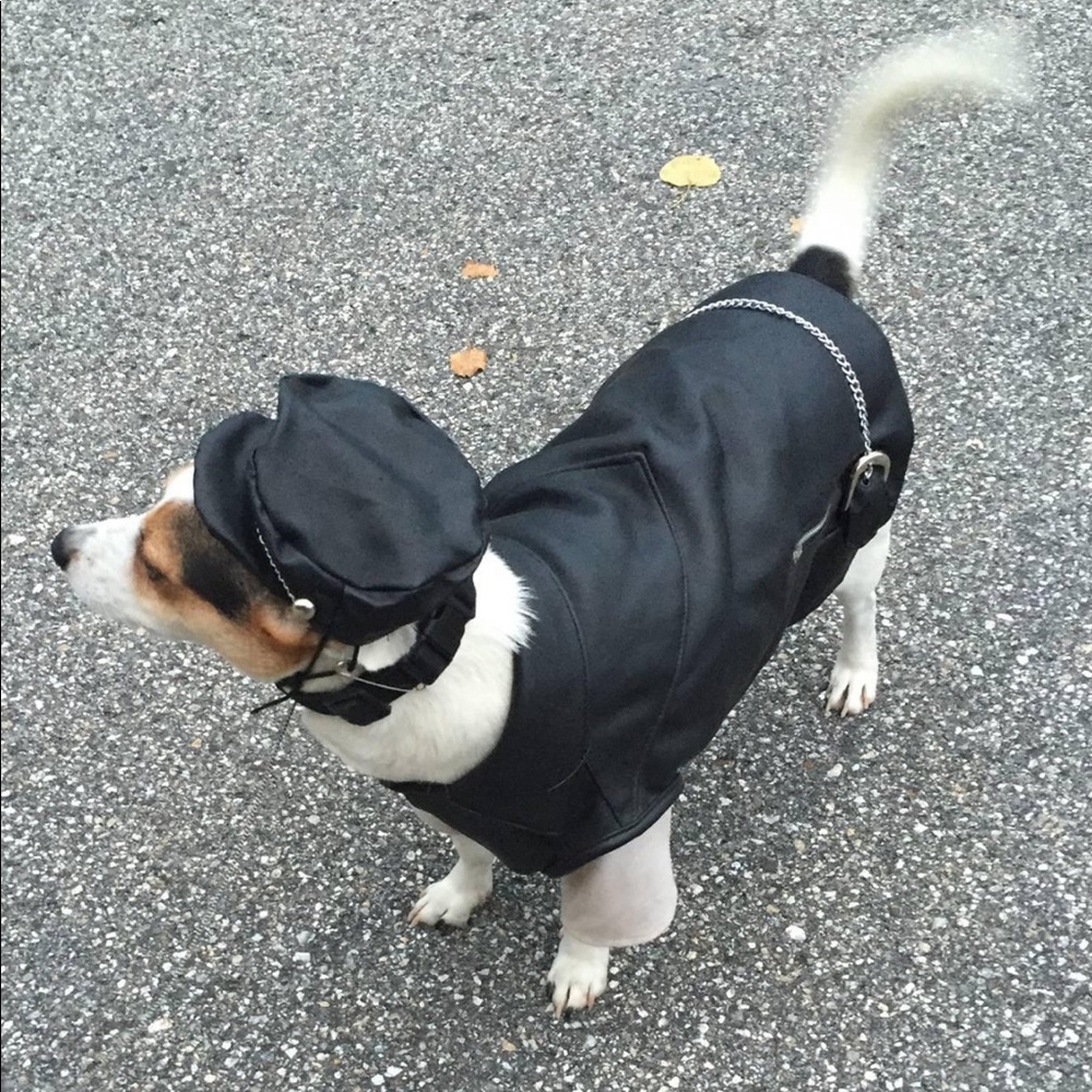 Meet your Posher, Amy